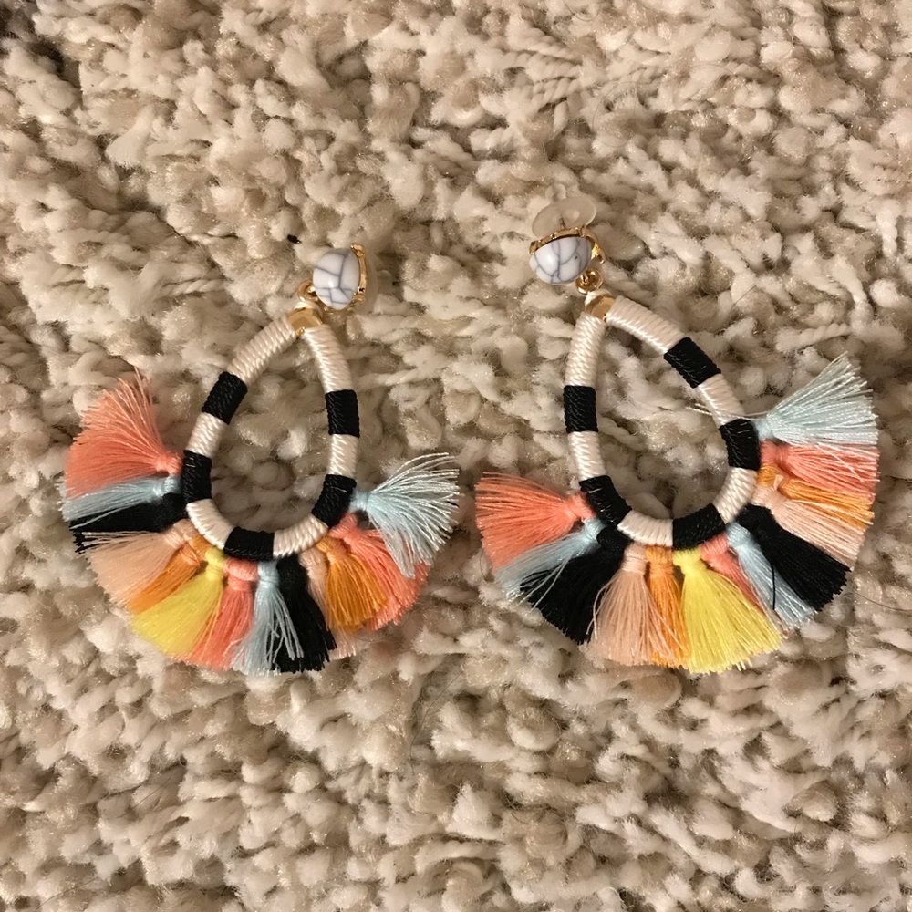Multicolored Tassel Earrings